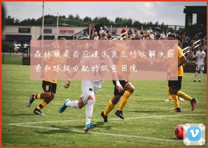 森林狼是否应追求莫兰特以解决薪资和球权分配的双重困境