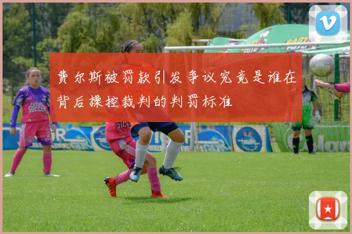 费尔斯被罚款引发争议究竟是谁在背后操控裁判的判罚标准
