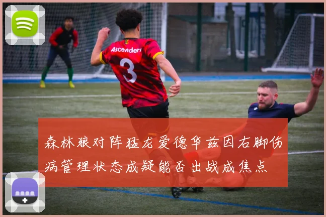 森林狼对阵猛龙爱德华兹因右脚伤病管理状态成疑能否出战成焦点