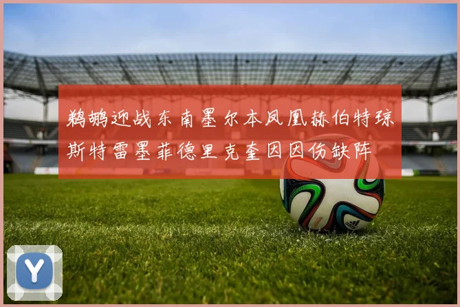 鹈鹕迎战东南墨尔本凤凰赫伯特琼斯特雷墨菲德里克奎因因伤缺阵