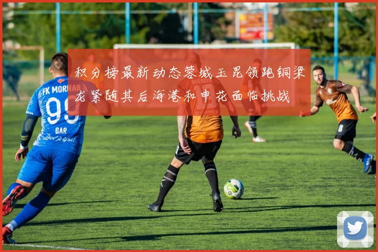 积分榜最新动态蓉城玉昆领跑铜梁龙紧随其后海港和申花面临挑战